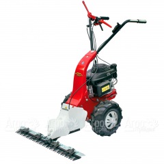 Бензиновая сенокосилка Eurosystems Minieffe 502 RM B&#38;S 625EXi в Омске