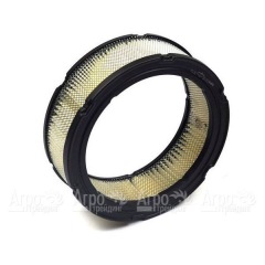 Воздушный фильтр Briggs&Stratton 00002 в Омске