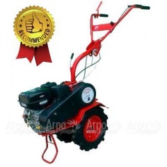 Мотоблок Агат БС-6.5 с двигателем Briggs&#38;Stratton RS 6.5 л.с. (фрезы в комплекте) в Омске