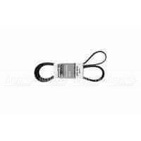 Pubert 0306030002 Ремень привода для ECO, ELITE, PRIMO (с реверсом) 5718 в Омске