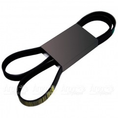 Pubert 0306030003 Ремень привода для ECO, ELITE (без реверса) в Омске