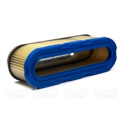 Воздушный фильтр Briggs&Stratton 00006 в Омске