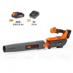 Воздуходувка аккумуляторная Daewoo DABL 5521Li SET в Омске