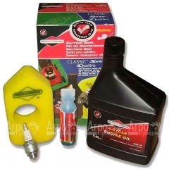 Набор для техобслуживания двигателей Briggs&#38;Stratton Classic, Sprint 992049 в Омске