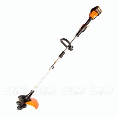 Триммер аккумуляторный Worx WG184E.9 (без аккумулятора и ЗУ) в Омске