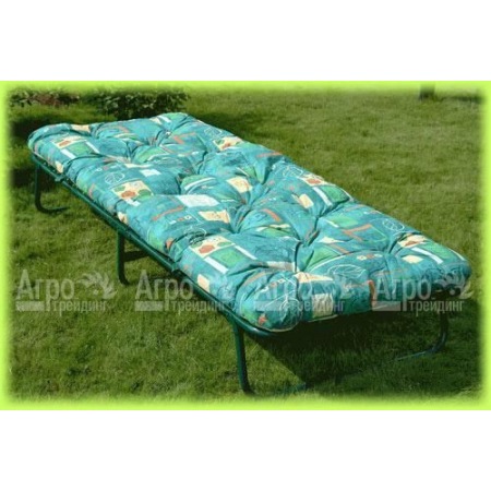 Кровать раскладная Вероника в Омске