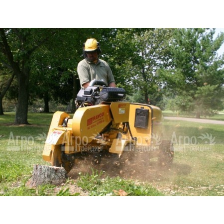 Измельчитель пней Rayco Super RG 50 в Омске