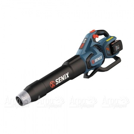 Воздуходувка аккумуляторная Senix BLAX2-M2-EU в Омске