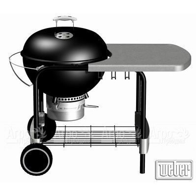 Гриль барбекю One-Touch® Platinum Black в Омске