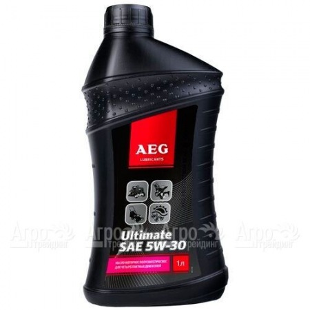 Масло полусинтетическое AEG Ultimate SAE 5W30 1 л для 4-х тактных двигателей  в Омске