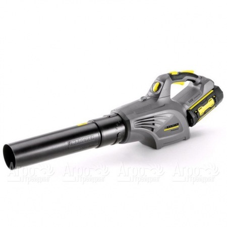 Воздуходувка аккумуляторная Karcher LB 850 Bp в Омске