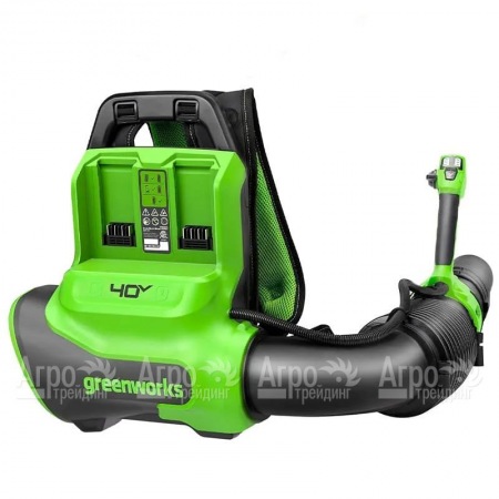 Воздуходувка аккумуляторная GreenWorks GD40BPG2  в Омске