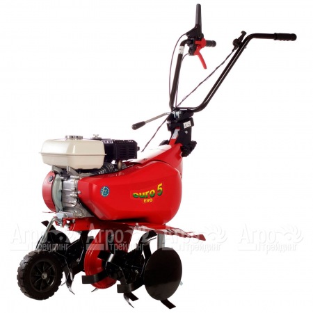 Культиватор Eurosystems Euro-5 EVO RM S/R Honda GX160 в Омске