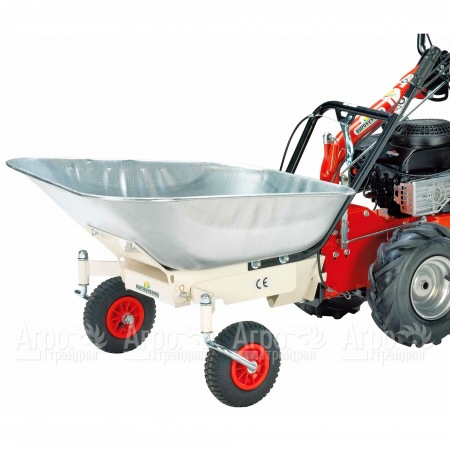 Оцинкованная тачка для Eurosystems P 70 в Омске