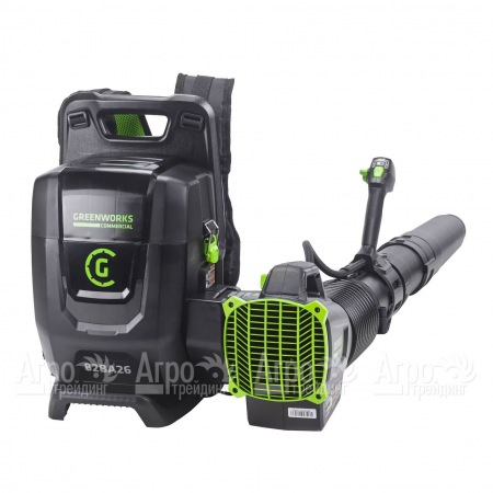 Воздуходувка аккумуляторная GreenWorks 2407207 (без батареи и зарядного устройства)  в Омске