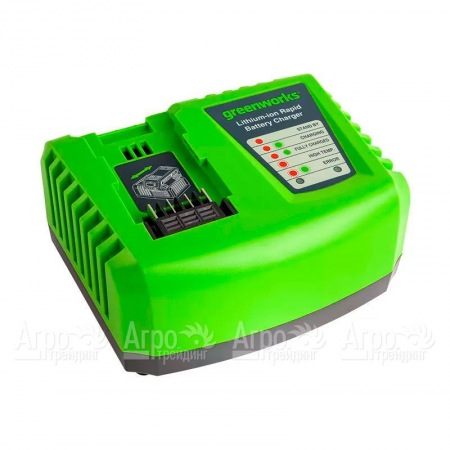 Быстрое зарядное устройство Greenworks G40UC4  в Омске
