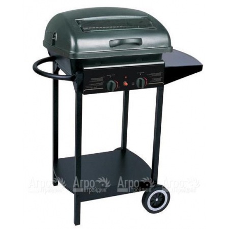 Гриль-барбекю газовый Green Glade RH-2210A в Омске
