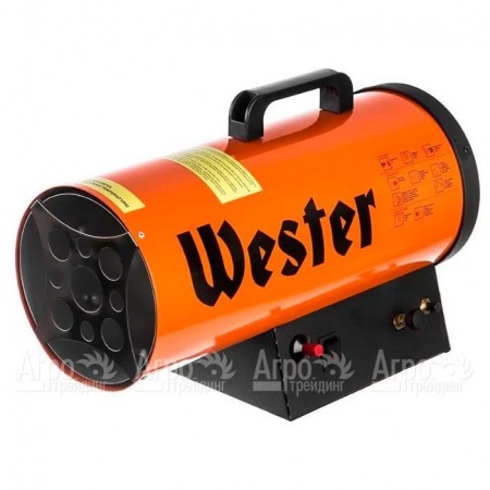 Газовая тепловая пушка Wester TG-20 в Омске