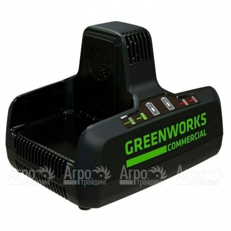 Быстрое зарядное устройство GreenWorks G82C2  в Омске
