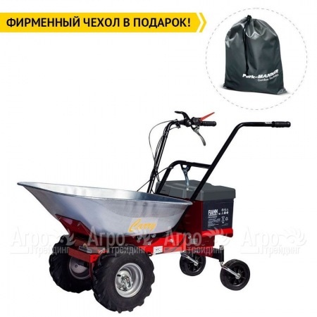 Самоходная тележка Eurosystems Carry Electric 300W-24V в Омске