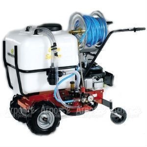 Бензиновый опрыскиватель Eurosystems Carry Sprayer в Омске