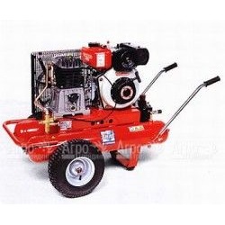 Компрессор дизельный Agri 55 Diesel в Омске
