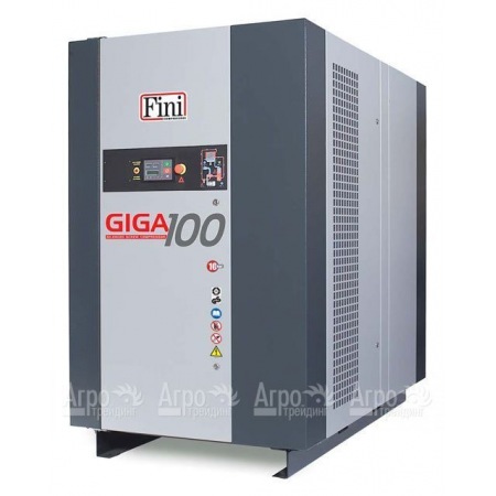 Винтовой компрессор Fini Giga 10010 в Омске
