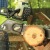 Аккумуляторная пила GreenWorks G-Max GD40CS40 40V-16 (без аккумулятора и зарядного устройства) в Омске