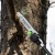Высоторез аккумуляторный GreenWorks PS102T (без аккумулятора и зарядного устройства) в Омске