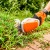 Аккумуляторные ножницы для кустарников Stihl HSA 26 (без аккумулятора и зарядного устройства) в Омске