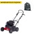 Скарификатор Eurosystems SC42B c двигателем Briggs&Stratton 450 series в Омске