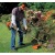 Бензокоса (бензиновый триммер) Stihl FS 38 в Омске