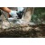 Бензопила Stihl MS 194 T 12" в Омске