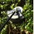 Аккумуляторный триммер DEKO DKTR40V PRO в Омске
