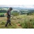 Бензокоса (бензиновый триммер) Stihl FS 235 в Омске