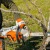 Аккумуляторная пила Stihl MSA 220 C-B-16" (без аккумулятора и зарядного устройства) в Омске