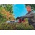 Аккумуляторный кусторез Einhell PXC GE-CH 36/62 Li-Solo (без аккумулятора и зарядного устройства) в Омске