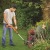 Аккумуляторный триммер Black+Decker ST1823 (2 аккумулятора) в Омске