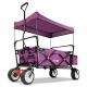 Тележка ручная Fuxtec CT-350P с навесом фиолетовая в Омске