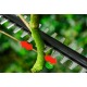 Высоторез аккумуляторный Bosch UniversalHedgePole 18 в Омске