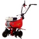 Культиватор Eurosystems Euro-5 EVO RM S/R Honda GX160 в Омске
