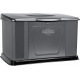 Газовый генератор Briggs&amp;Stratton Home Standby 1400 Вт в Омске