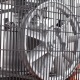 Компрессор поршневой Patriot Remeza СБ 4/С-100 LH 20 A в Омске