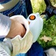 Бензокоса (бензиновый триммер) Stihl FS 45 C-E в Омске