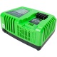 Быстрое зарядное устройство Greenworks G40UC5 в Омске