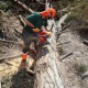 Бензопила Efco MT 6500-18&quot; в Омске