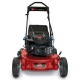 Газонокосилка бензиновая Toro 20092C в Омске