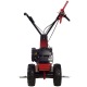 Бензиновая сенокосилка Eurosystems Minieffe 502 RM B&amp;S 625EXi в Омске