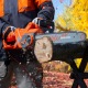 Пила цепная (электропила) Daewoo DACS 2500E-16 в Омске