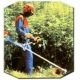 Бензокоса (бензиновый триммер) Stihl FS 38 в Омске